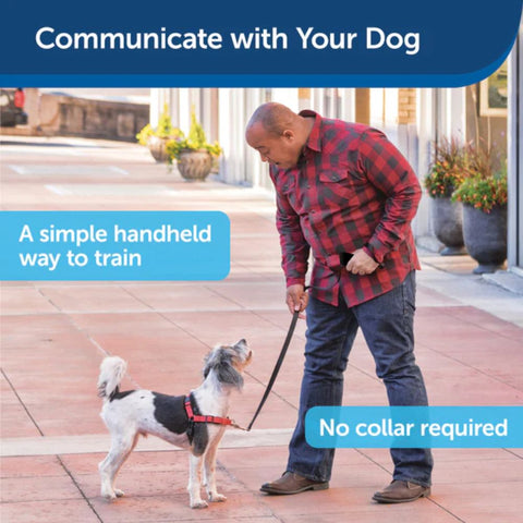 PetSafe PUPT-100-19 Collarless Ultrasonic Remote Trainer for Communication with Dogs