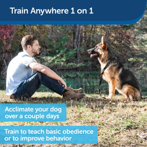 PetSafe PUPT-100-19 Collarless Ultrasonic Remote Trainer for Dog Training