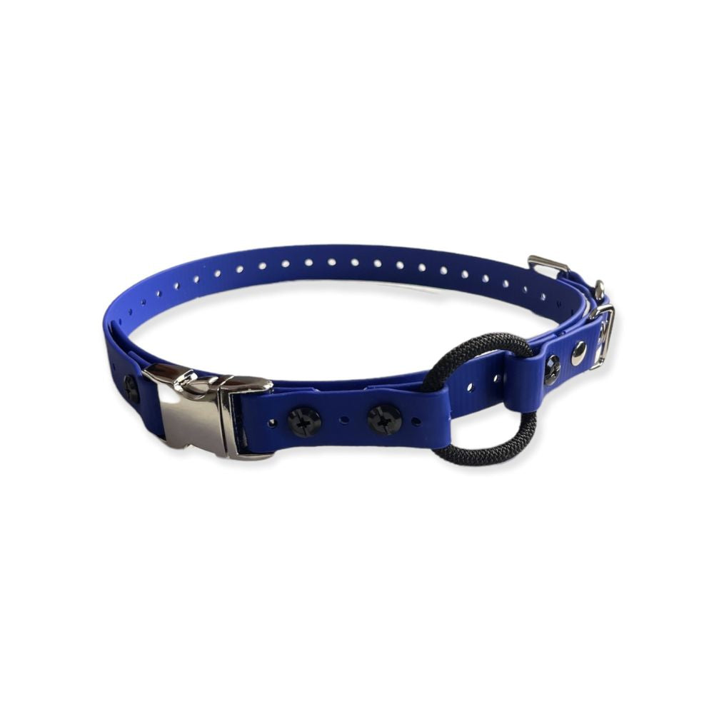 E-Collar Technologies 3/4" x 33" Quick Snap Bungee Collar in Blue