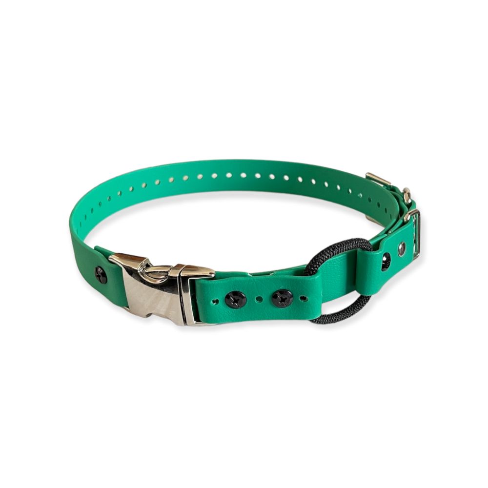 E-Collar Technologies - 1" Width Quick Snap Bungee Collar in Green