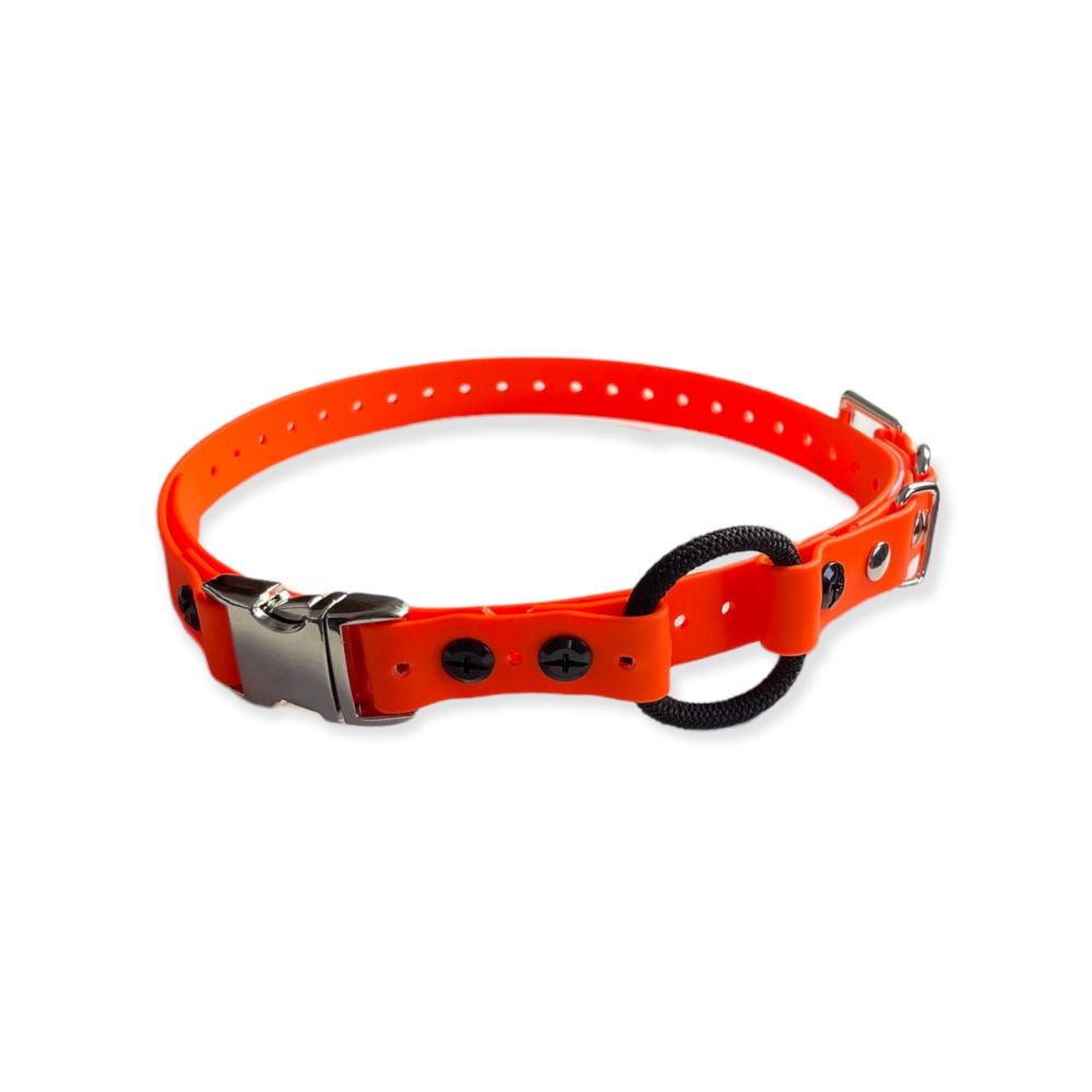 E-Collar Technologies 3/4" x 33" Quick Snap Bungee Collar in Orange