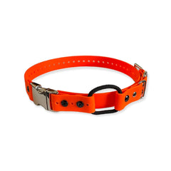E-Collar Technologies - 1" Width Quick Snap Bungee Collar in Orange