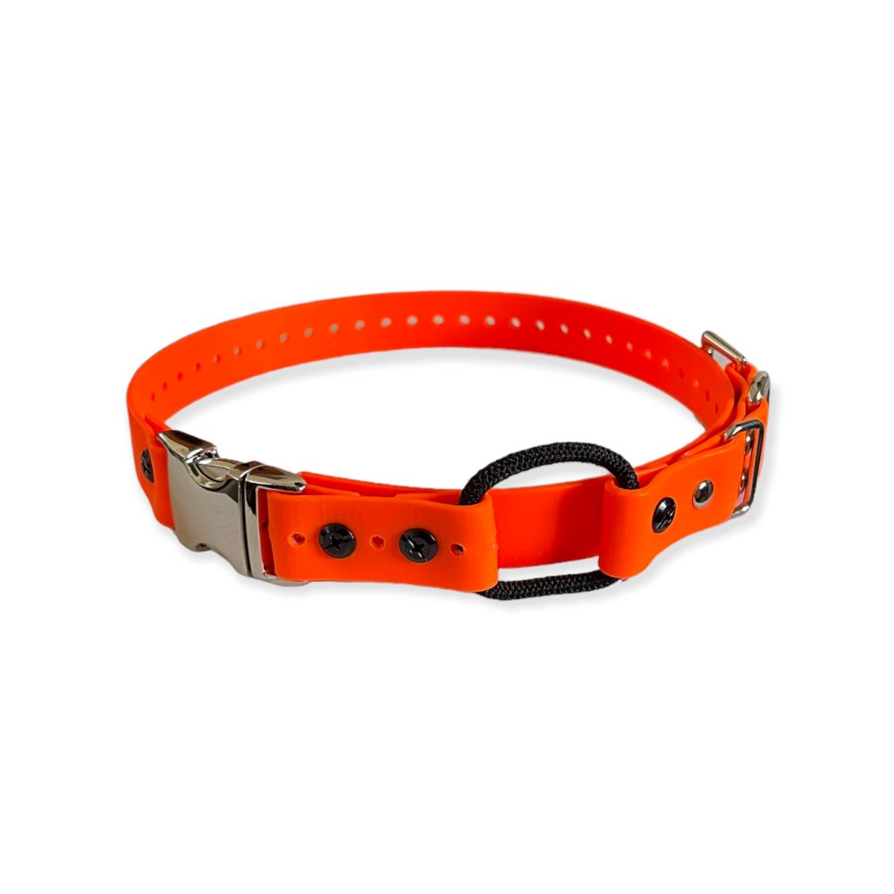E-Collar Technologies - 1" Width Quick Snap Bungee Collar in Orange