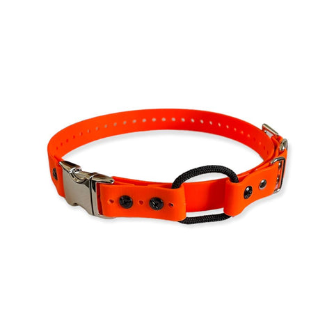 E-Collar Technologies - 1" Width Quick Snap Bungee Collar in Orange
