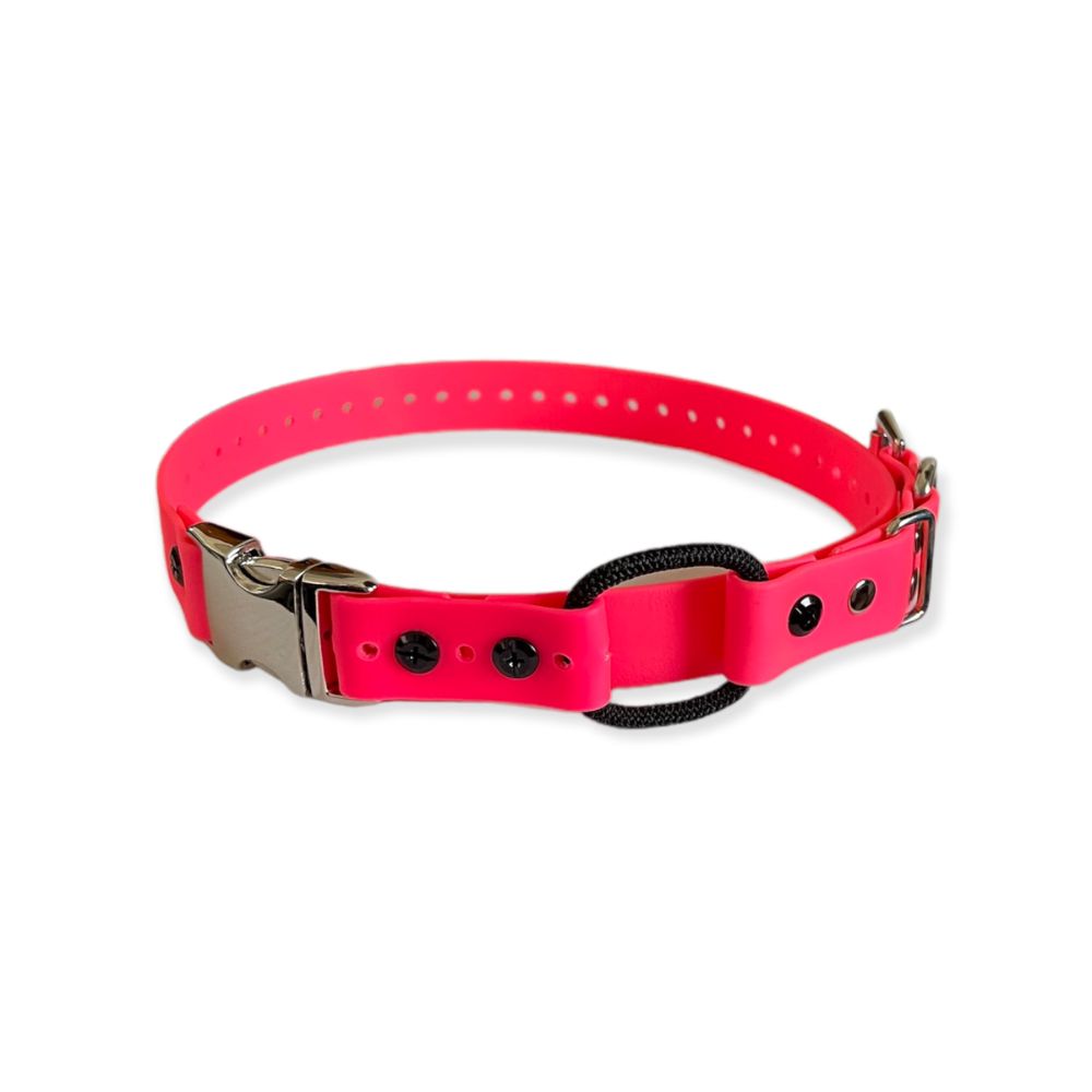 E-Collar Technologies - 1" Width Quick Snap Bungee Collar in Pink