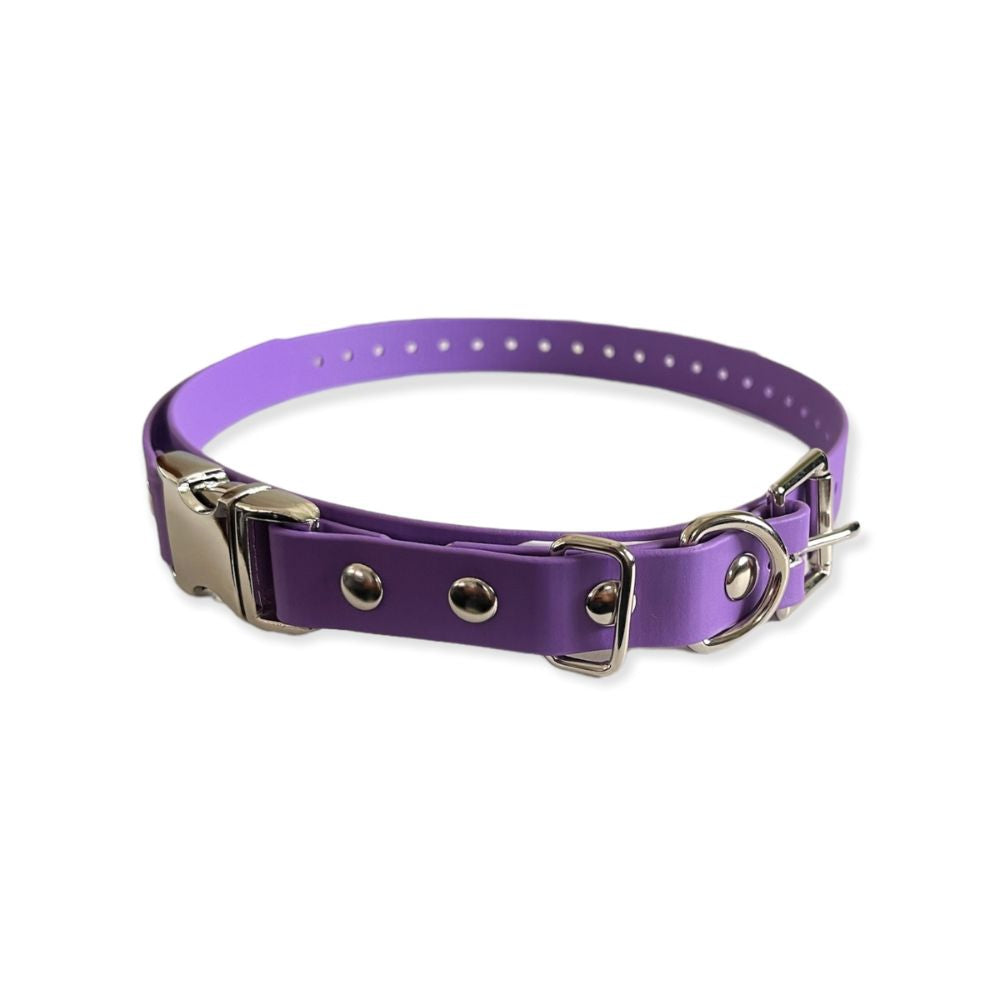 E-Collar Technologies 3/4" Quick Snap Biothane Collar in Purple
