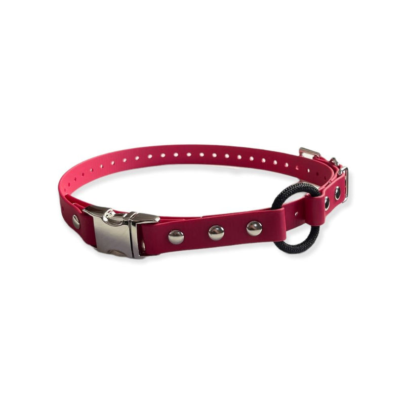 E-Collar Technologies - 3/4" Width Quick Snap Bungee Collar-zoom-