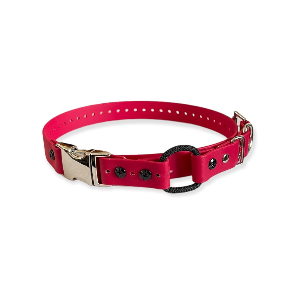 E-Collar Technologies - 1" Width Quick Snap Bungee Collar in Red