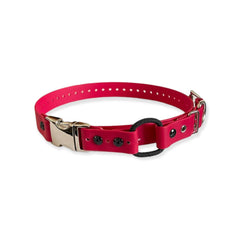 E-Collar Technologies - 1" Width Quick Snap Bungee Collar in Red