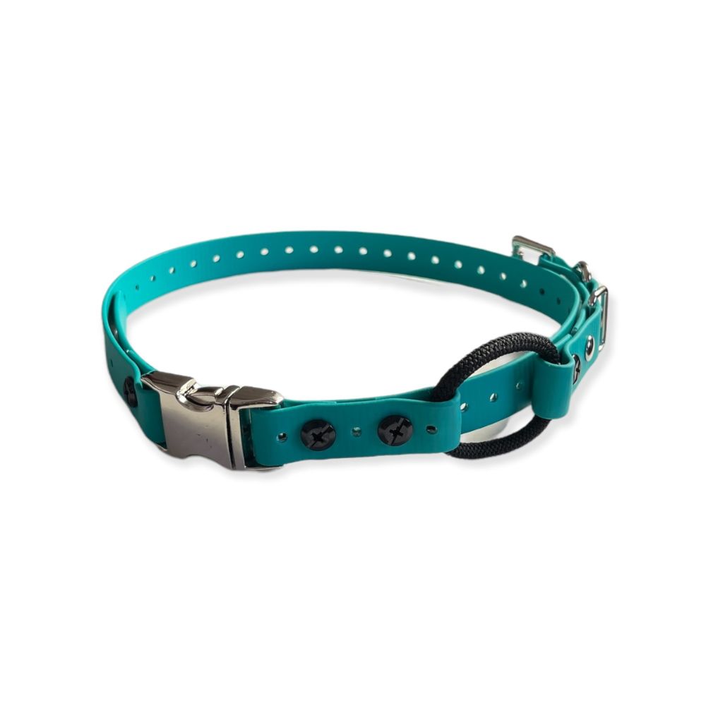 E-Collar Technologies - 1" Width Quick Snap Bungee Collar in Teal
