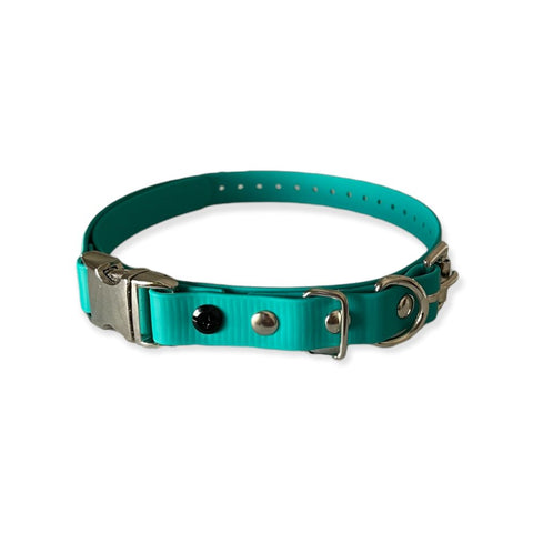 E-Collar Technologies 1" Width Quick Snap Biothane Collar in Teal