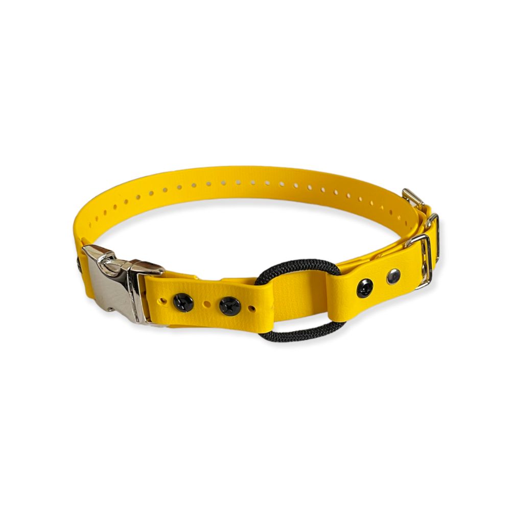 E-Collar Technologies - 1" Width Quick Snap Bungee Collar in Yellow