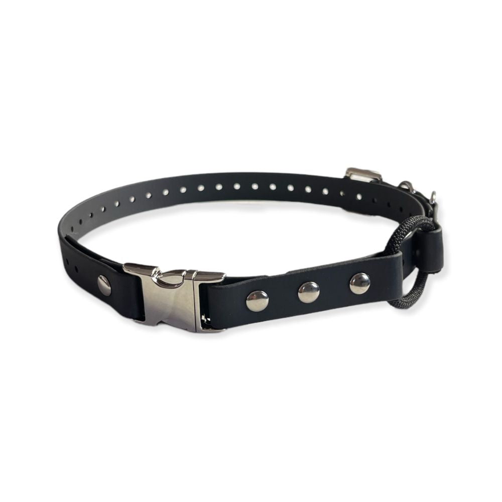 E-Collar Technologies 3/4" x 33" Quick Snap Bungee Collar in Black