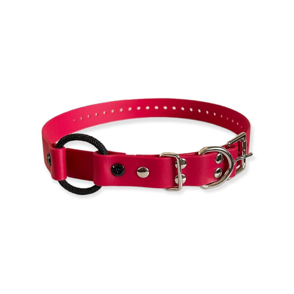 E-Collar Technologies 1" x 33" Red Bungee Collar