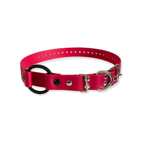 E-Collar Technologies 1" x 33" Red Bungee Collar