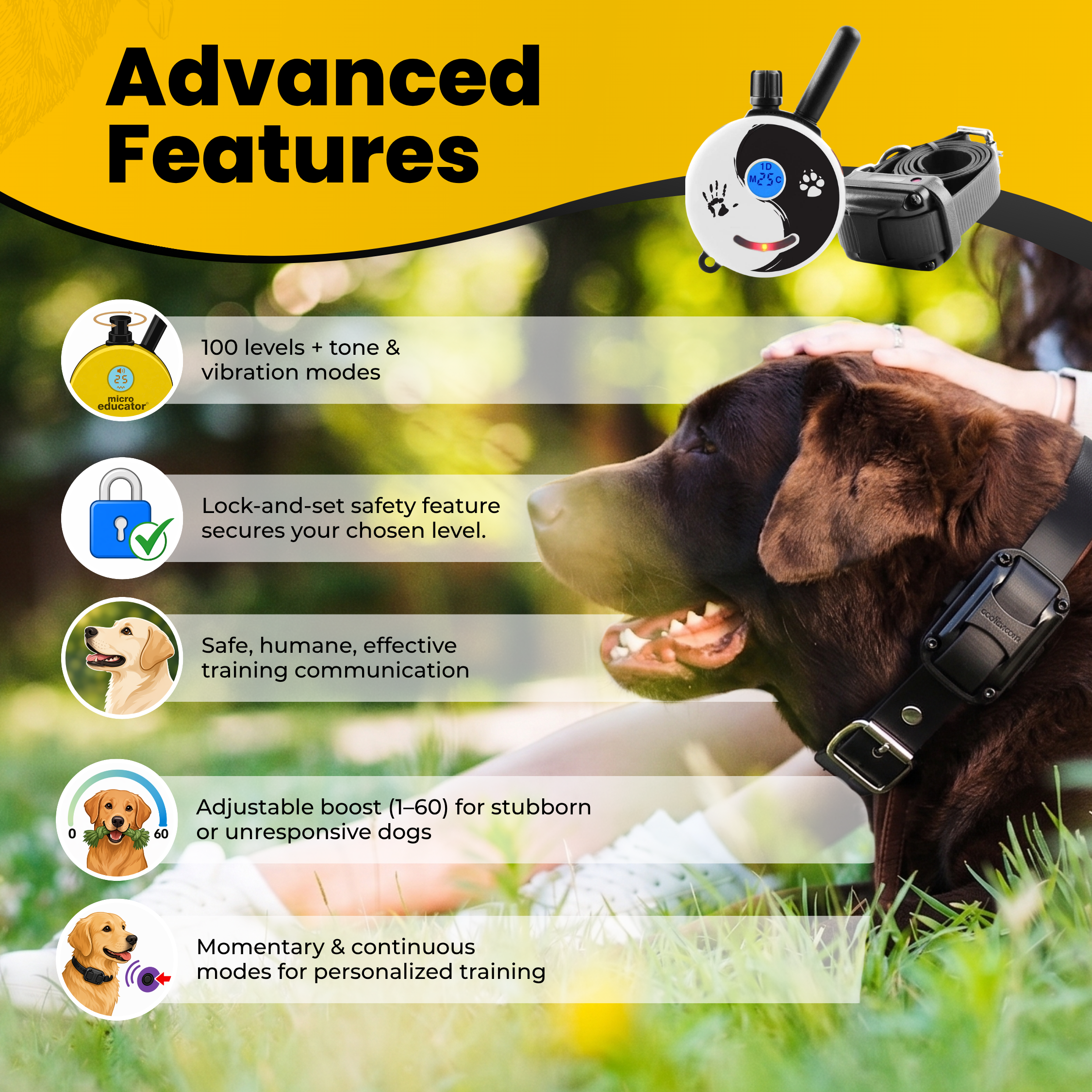 Mini Educator ET-300 Remote Dog Training Collar ZEN by E-Collar Technologies-zoom-2