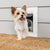 Small Dog Entering PetSafe ZPA00-16201 Wall Entry Pet Door