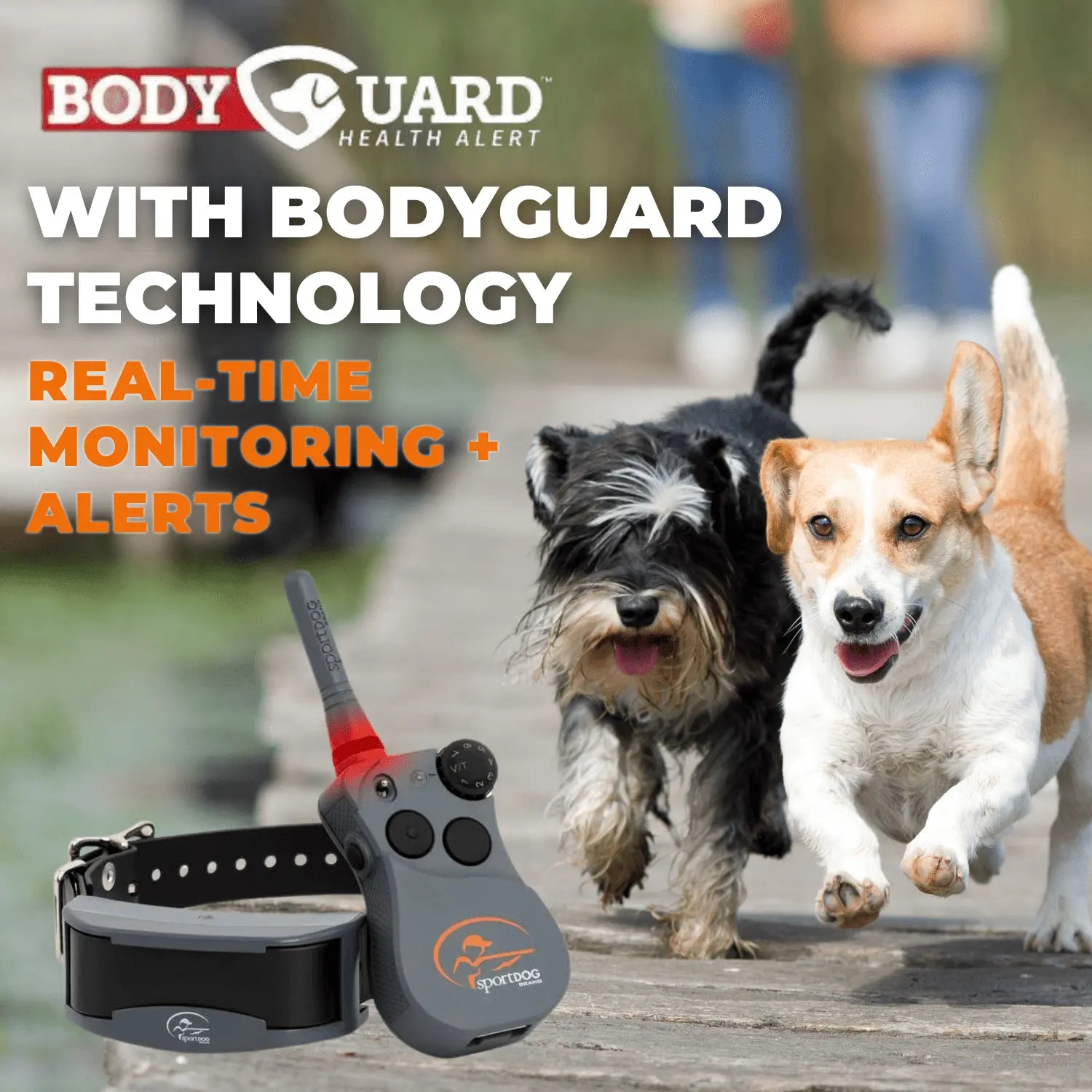 petstek.myshopify.com SportDog - FS-1825 - FieldSentinel 1825 - Remote Training Collar + Health Alert  SportDOG