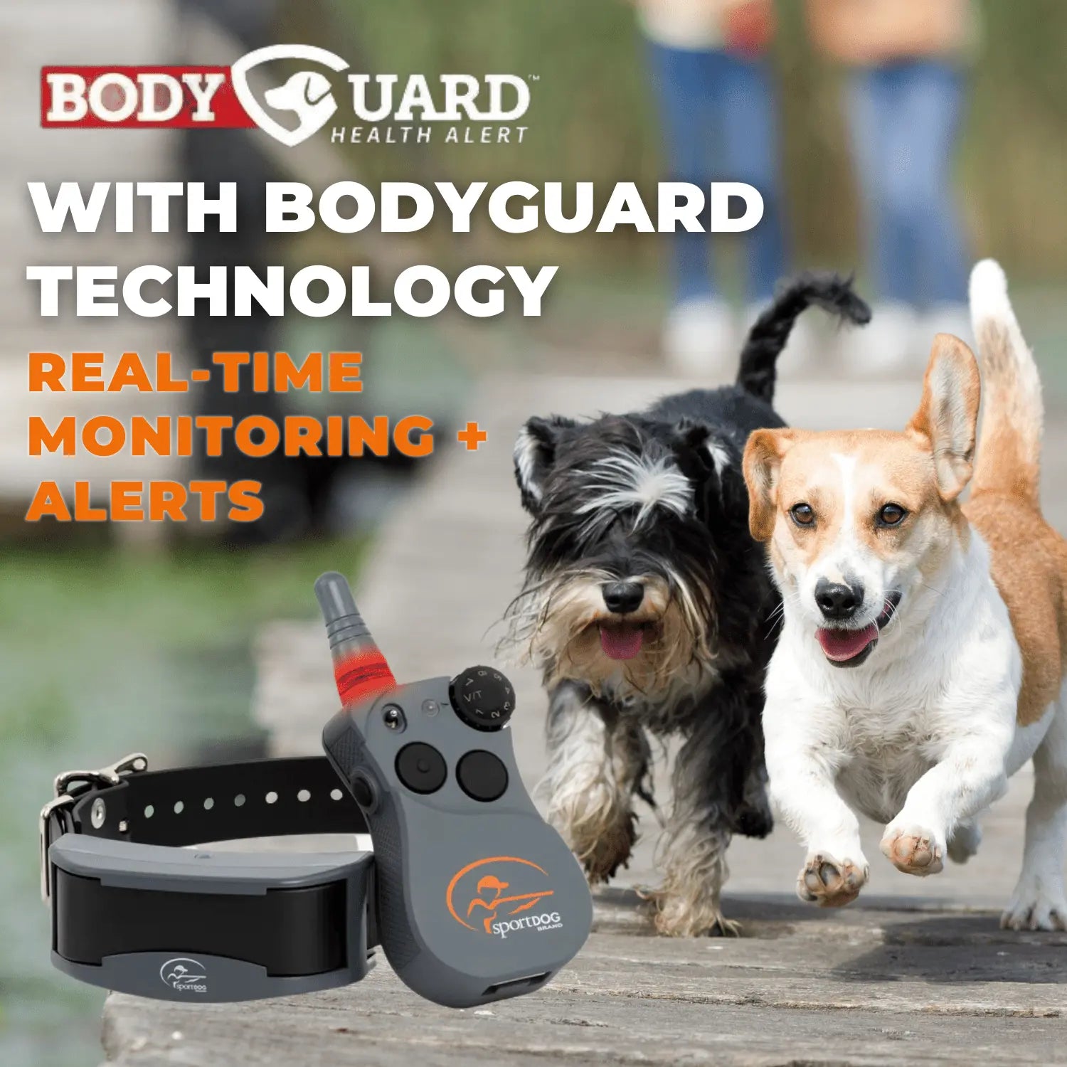 petstek.myshopify.com SportDog - FS-825 - FieldSentinel 825 - Remote Training Collar + Health Alert  SportDOG