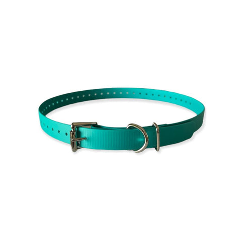 E_Collar Technologies 1" x 22" Biothane Strap in Teal