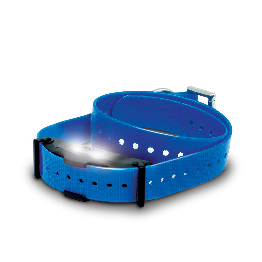 Dogtra ARC X Additional Receiver-1