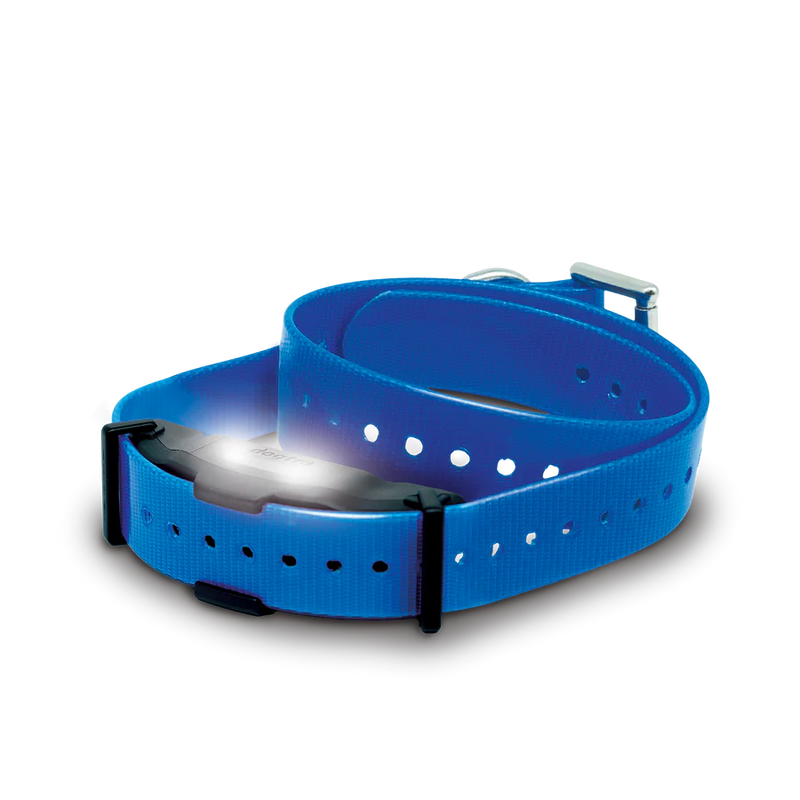Dogtra ARC X Additional Receiver-zoom-
