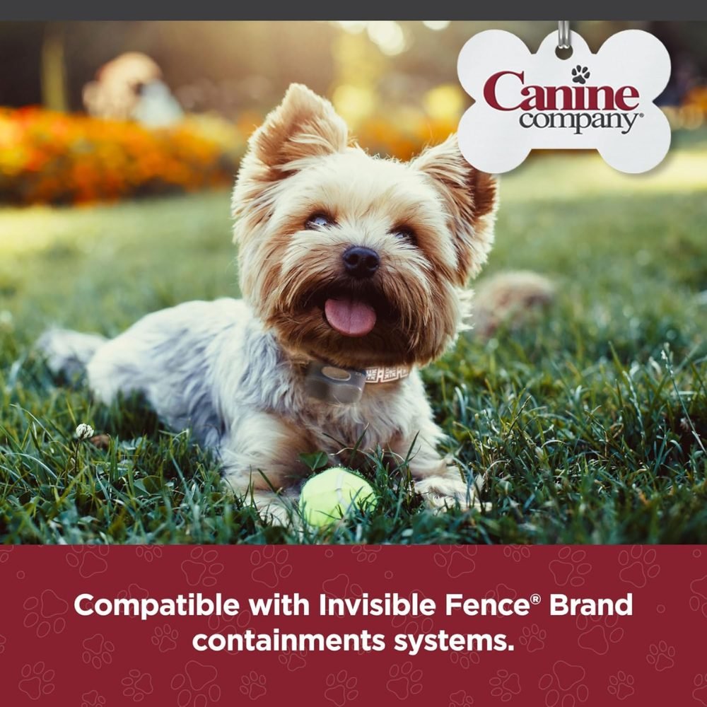 Canine Company-Canine Company - Pet Fence Batteries for Invisible Fence Brand Receiver - Replacement Batteries