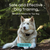 Safe and Effective Dog Training Collection by PetsTEK