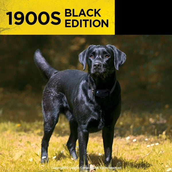 Dogtra - 1900S Black Edition - 1 Mile - Remote Training Collar-zoom-