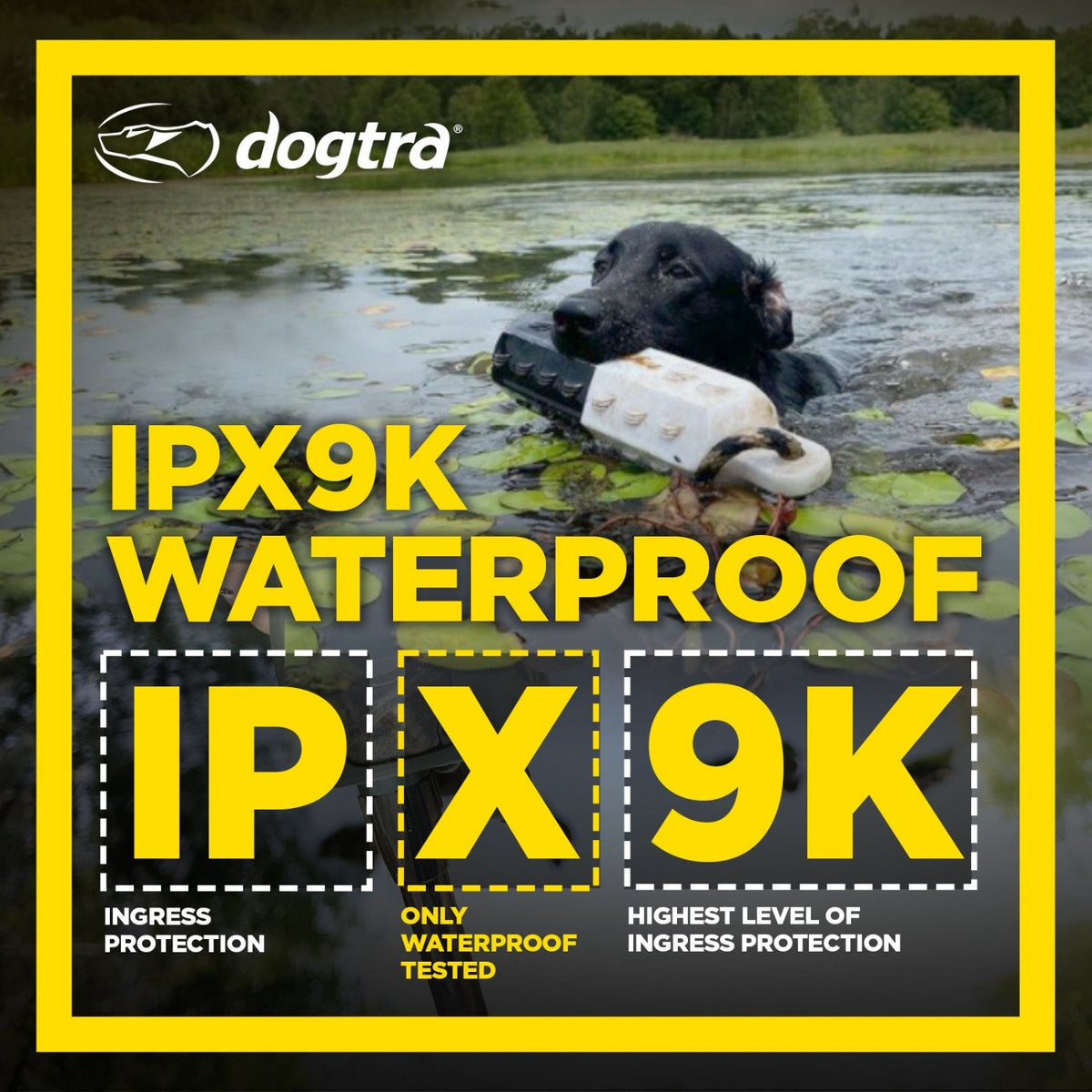 Dogtra-Dogtra - 1900S Wetlands Boost & Lock - 3/4 Mile - Remote Training Collar