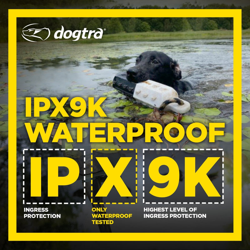 Dogtra - 1900S Wetlands Boost & Lock - 3/4 Mile - Remote Training Collar-zoom-