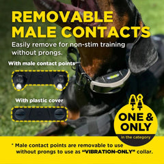Dogtra-Dogtra - 1900X-2 Dog - 3/4 Mile - Remote Training Collar