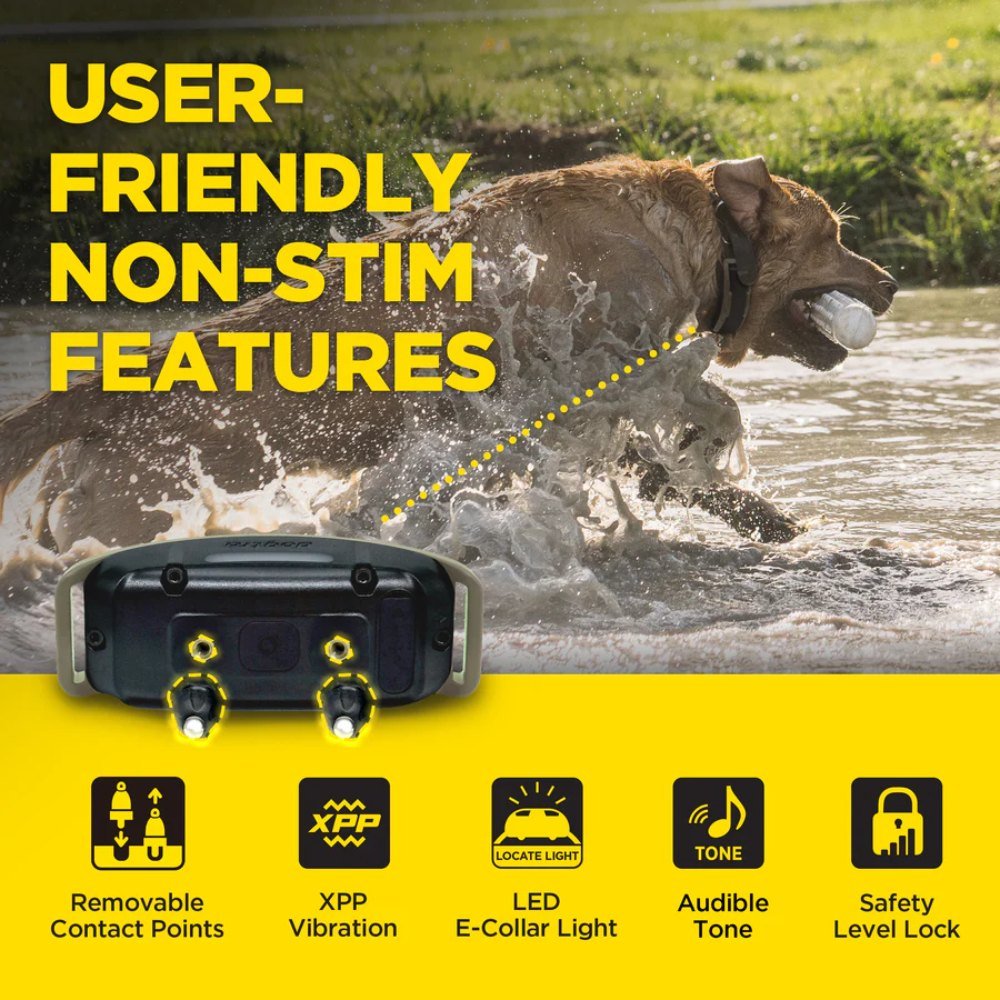 Dogtra-Dogtra - 1900X-2 Dog - 3/4 Mile - Remote Training Collar