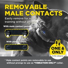 Dogtra-Dogtra 1900X Black Edition - 1 Mile - Remote Training E-Collar