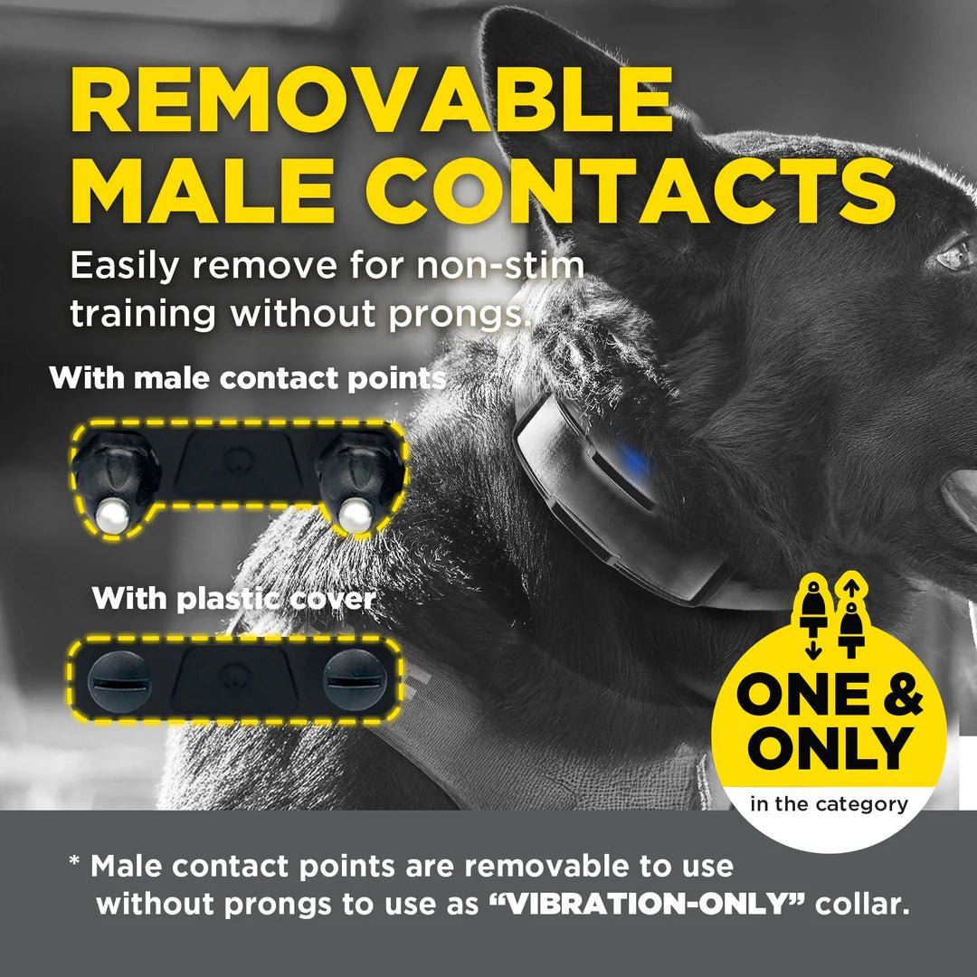 Dogtra-Dogtra 1900X Black Edition - 1 Mile - Remote Training E-Collar