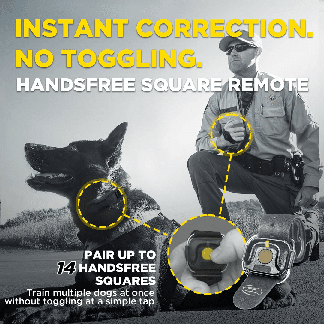 Dogtra-Dogtra 1900X Black Edition - 1 Mile - Remote Training E-Collar