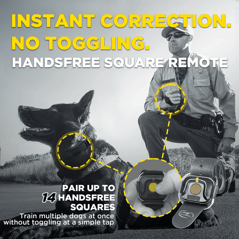 Dogtra 1900X Black Edition - 1 Mile - Remote Training E-Collar-zoom-