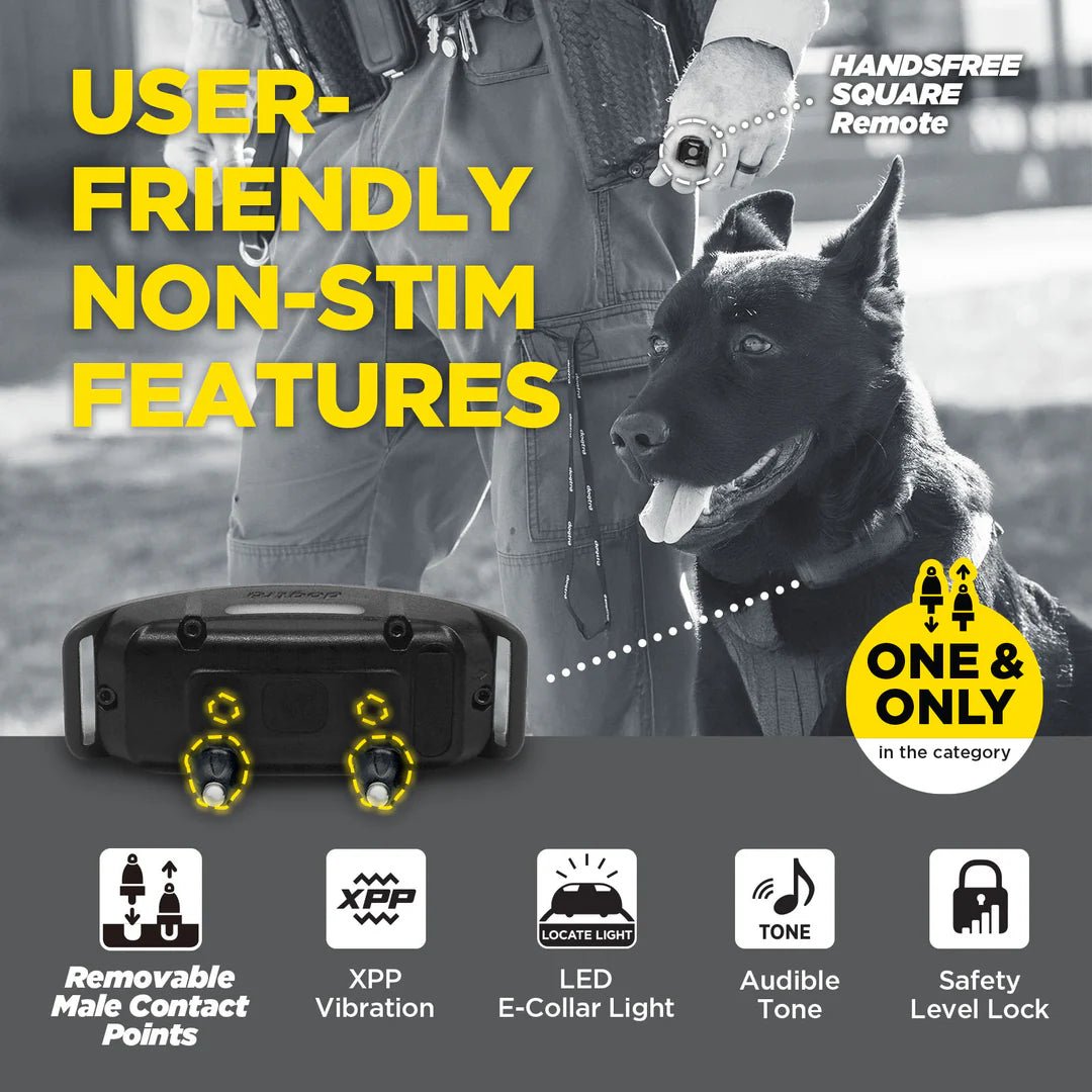 Dogtra-Dogtra 1900X Black Edition - 1 Mile - Remote Training E-Collar