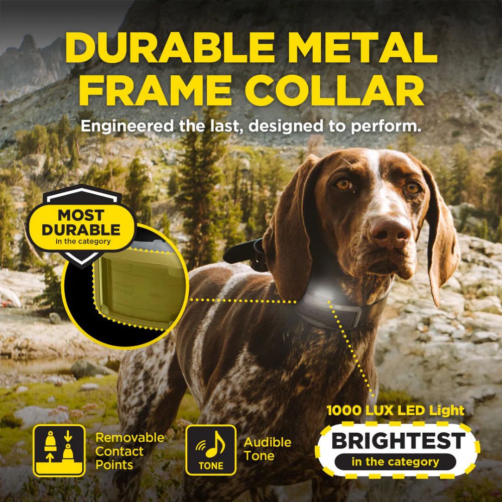 Dogtra-Dogtra 1900X Handsfree 1-Dog - 3/4 Mile - Remote Training E-Collar