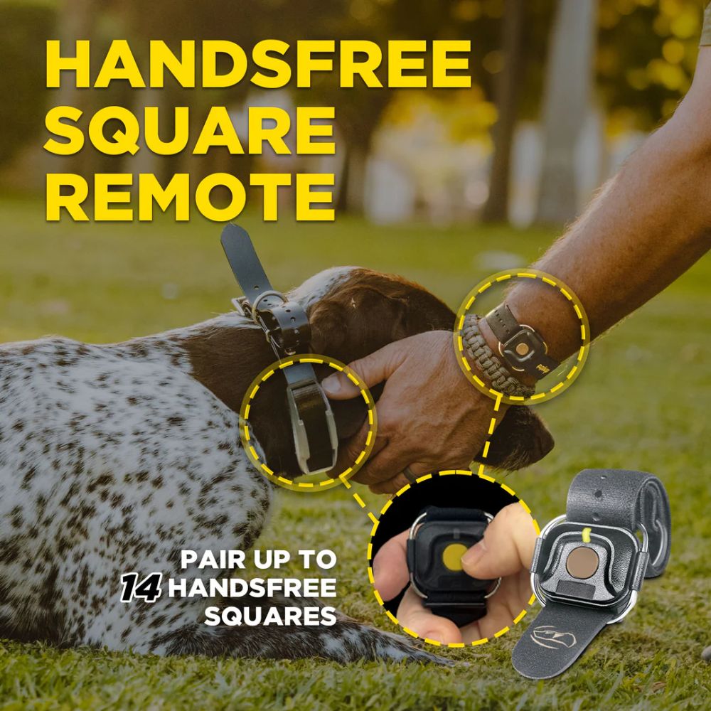 Dogtra-Dogtra 1900X Handsfree 1-Dog - 3/4 Mile - Remote Training E-Collar