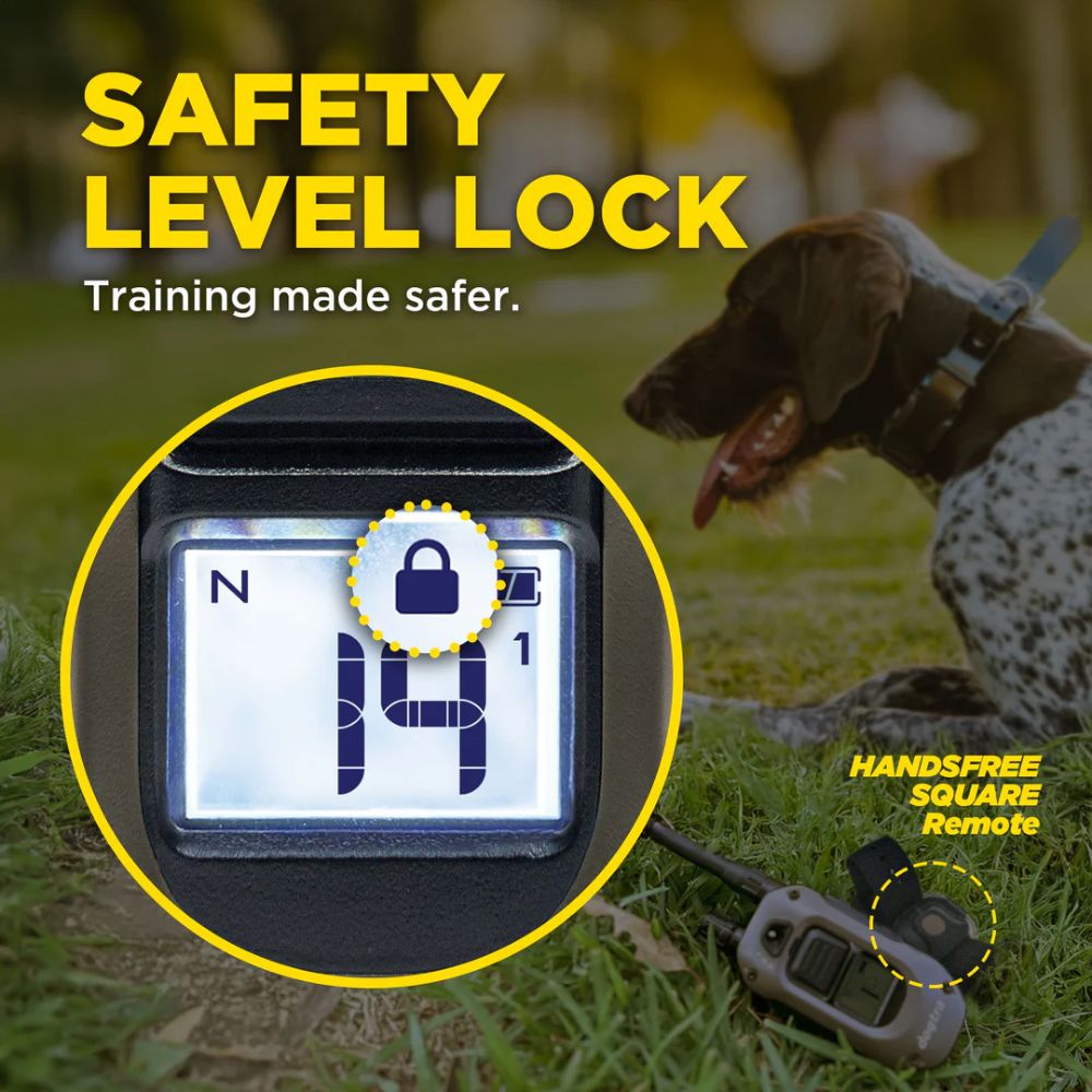 Dogtra-Dogtra 1900X Handsfree 1-Dog - 3/4 Mile - Remote Training E-Collar