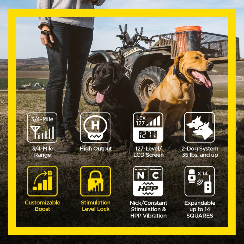 Dogtra - 1902S Handsfree Plus Boost & Lock - 3/4 Mile - Remote Training Collar-zoom-