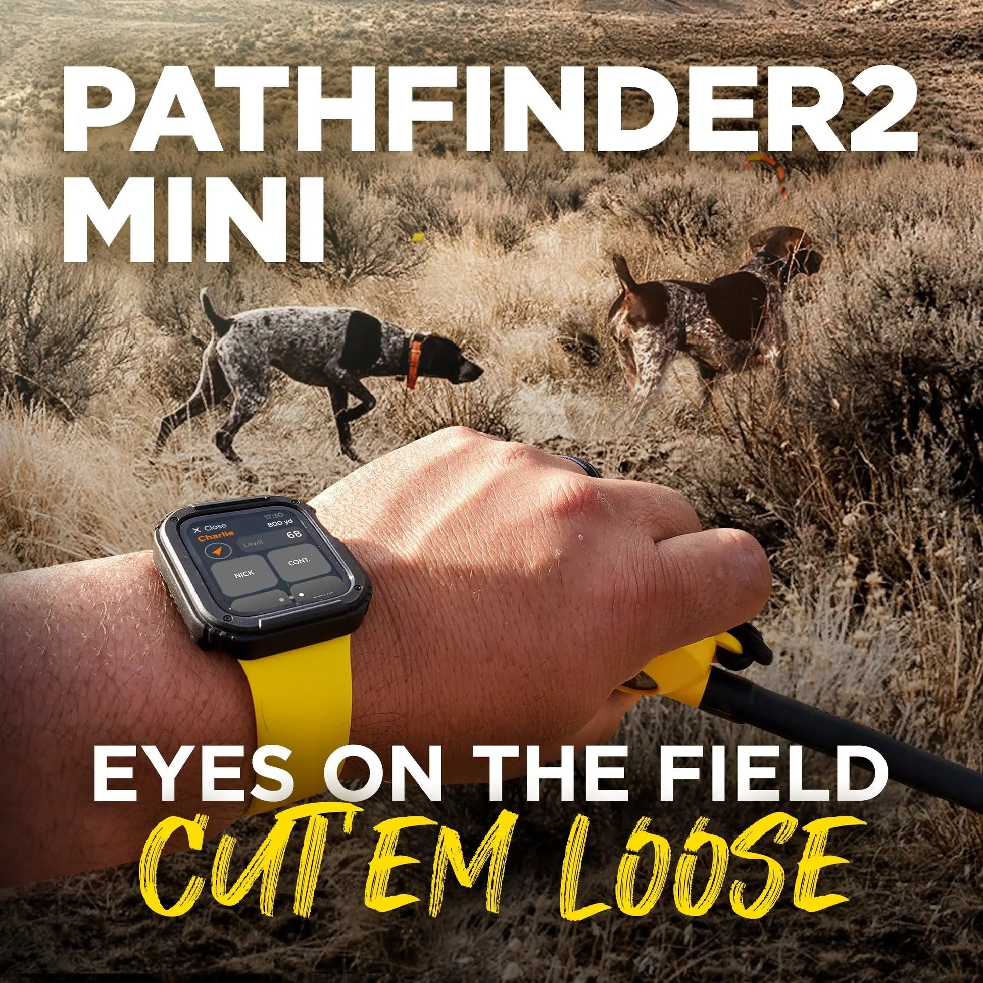 Dogtra-Dogtra - Pathfinder 2 Mini - 4 Miles - Remote Training Collar Waterproof