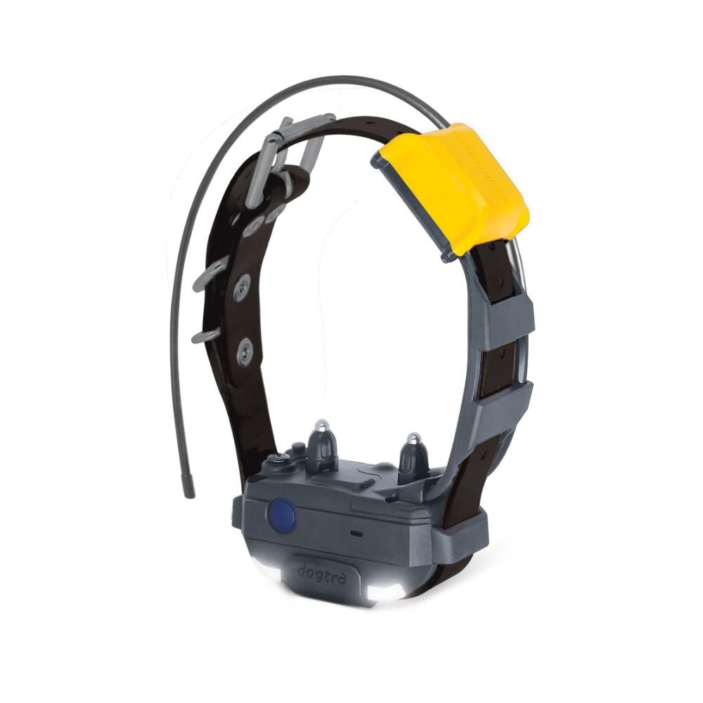 Dogtra-Dogtra - Pathfinder 2 Mini RX Black - 4 Miles - Additional Collar
