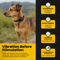 Dogtra-Dogtra YS300 No Bark Collar