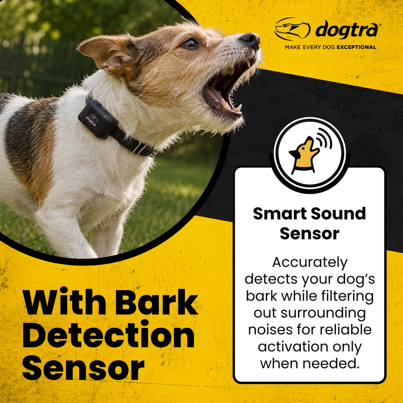 Dogtra YS300 No Bark Collar-zoom-