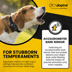 Dogtra-Dogtra - YS600 - No Bark Collar