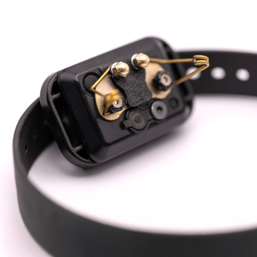 E-Collar Technologies-Comfort Pads - Winged Contacts for Educator Remote Training Collars
