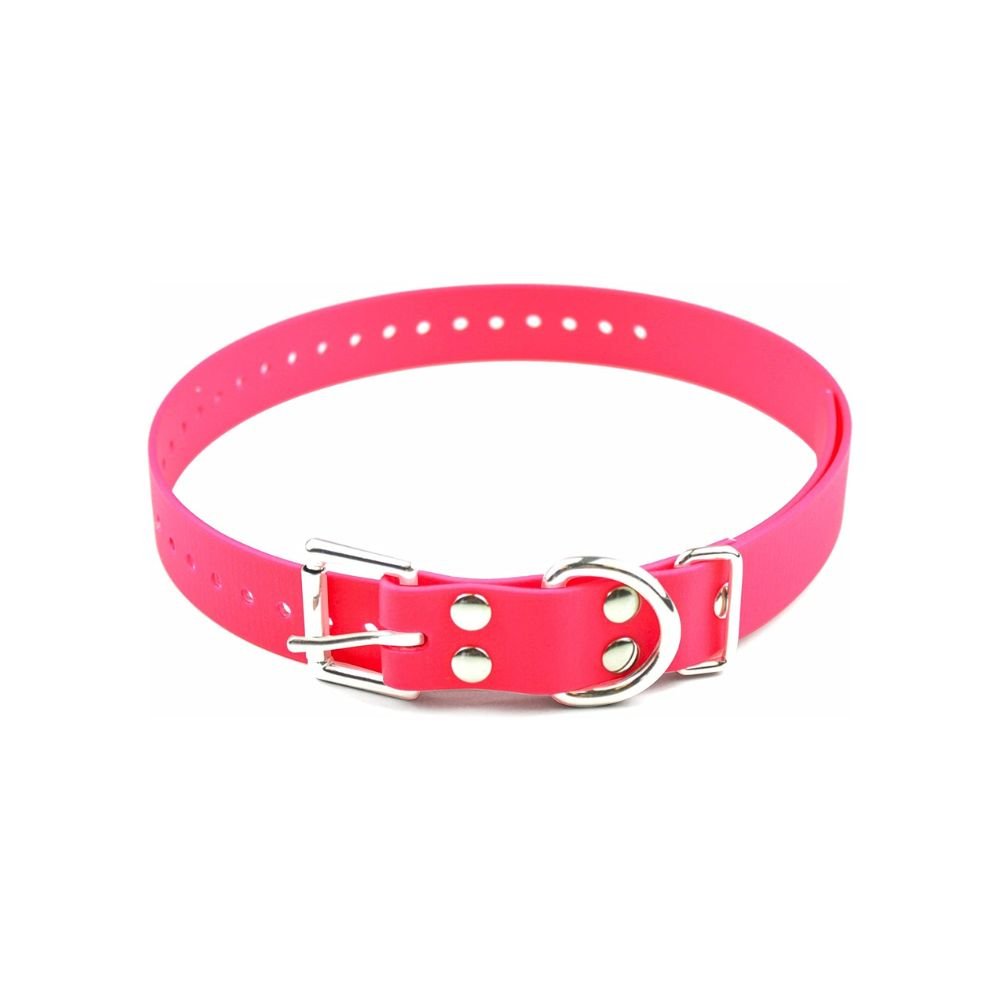 E-Collar Technologies-E-Collar Technologies - 1" Width - Biothane Replacement Strap