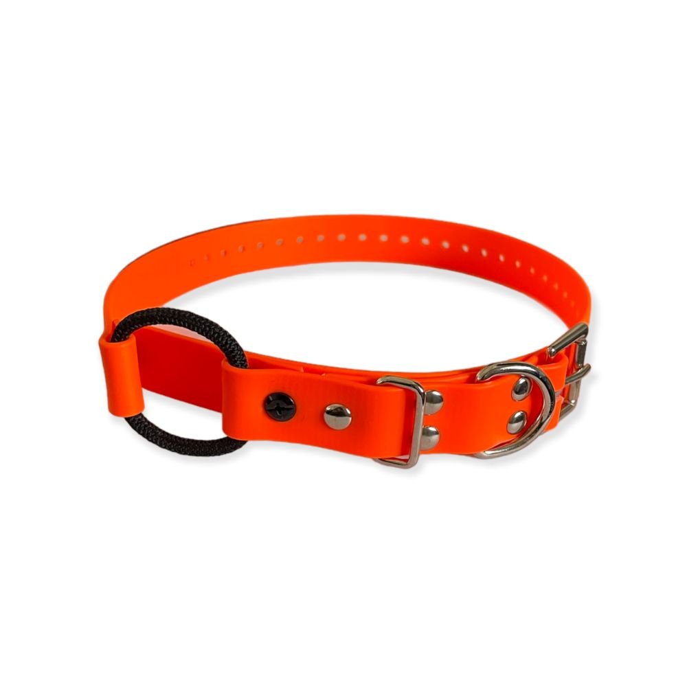 E-Collar Technologies-E-Collar Technologies - 1" Width Bungee Collar